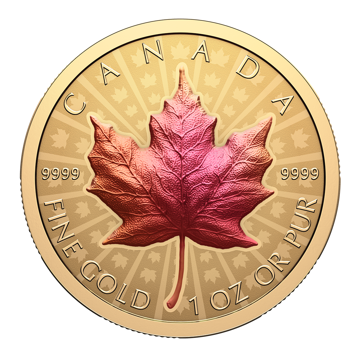 Canada 2026 Ultra High Relief Maple Leaf 99.99% Reverse Proof Gold Coin with Vivid Toning Effect 1oz