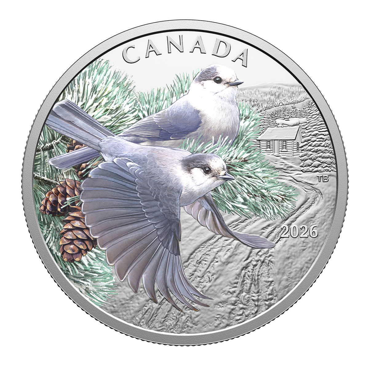Canada 2026 Colourful Birds: Canada Jays 99.99% Proof Silver Coin 1oz