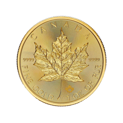 Canada 2026 Maple Leaf 99.99% Bullion Gold Coin 1oz (0.831 Tael)
