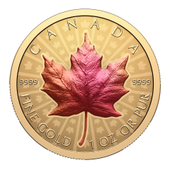 Canada 2026 Ultra High Relief Maple Leaf 99.99% Reverse Proof Gold Coin with Vivid Toning Effect 1oz