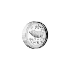 Australian-2019-Lunar-Pig-.9999-Silver-BU-Coin-1-oz