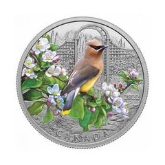 加拿大2022彩鳥 - 雪松太平鳥99.99%精鑄銀幣1盎司