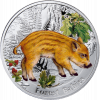 Niue-2014-Forest-Babies-Series---Wild-boar-Silver-Proof-Coin-0.6-oz
